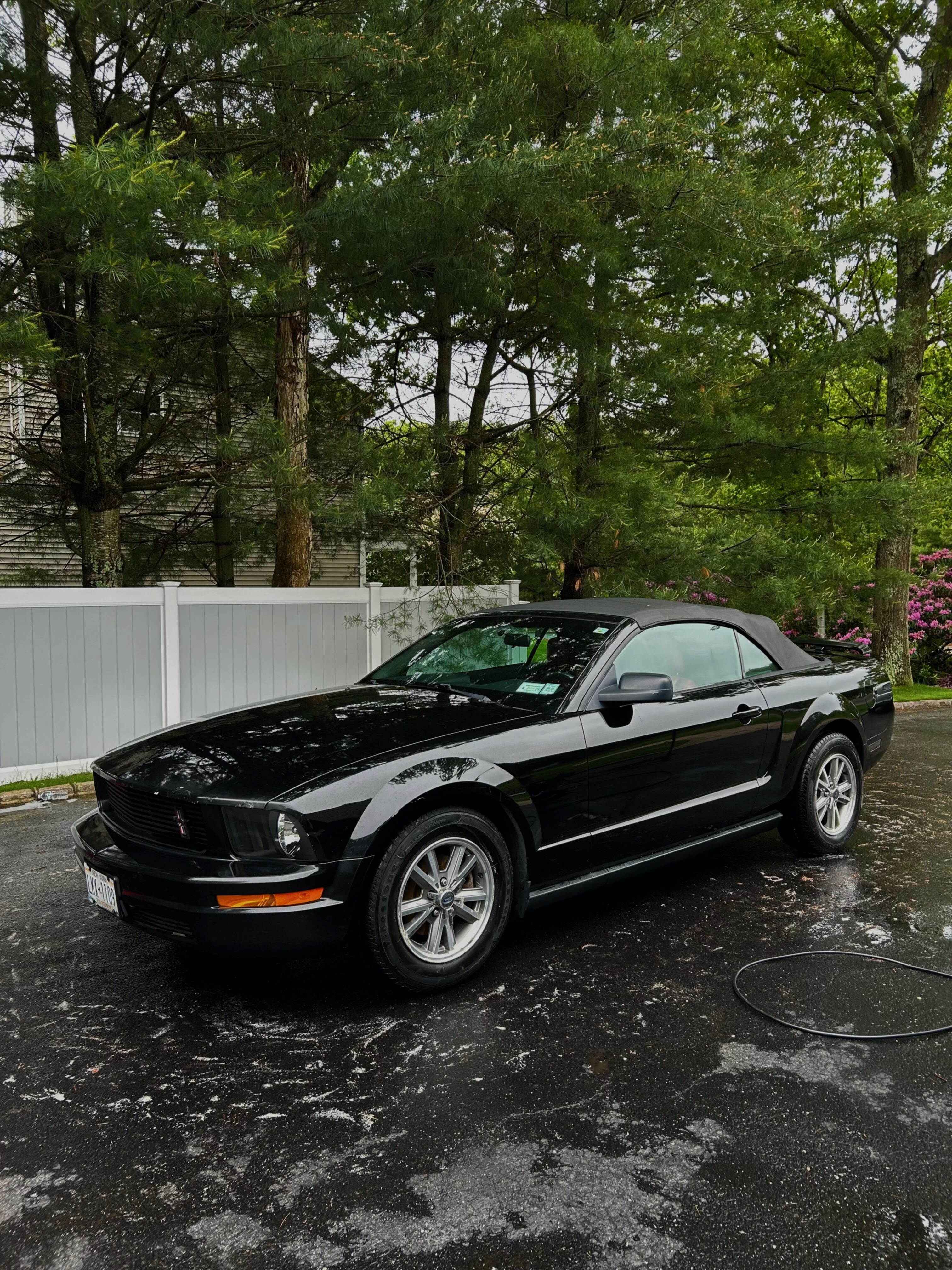 Ceramic 3-in-1 wax application for long-lasting shine - Menno Auto Detailing, Shoreham NY